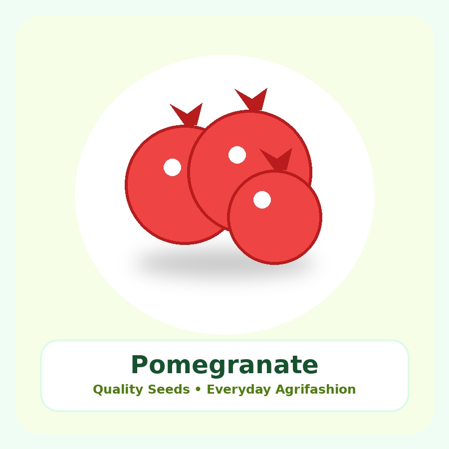 Pomegranate Seeds 100 Seeds