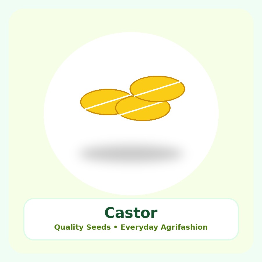 Castor Seeds 1kg