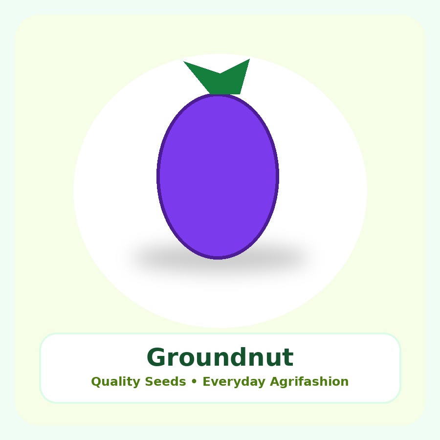 Groundnut Seeds 25kg