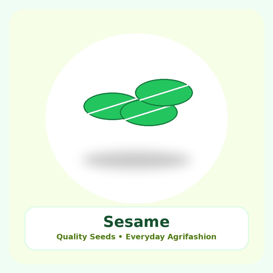 Sesame Seeds 500g