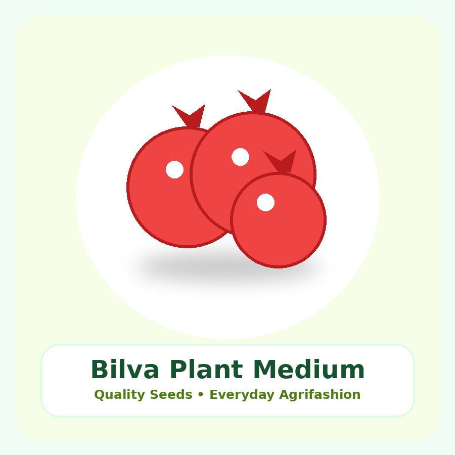 Bilva Plant Medium Plant