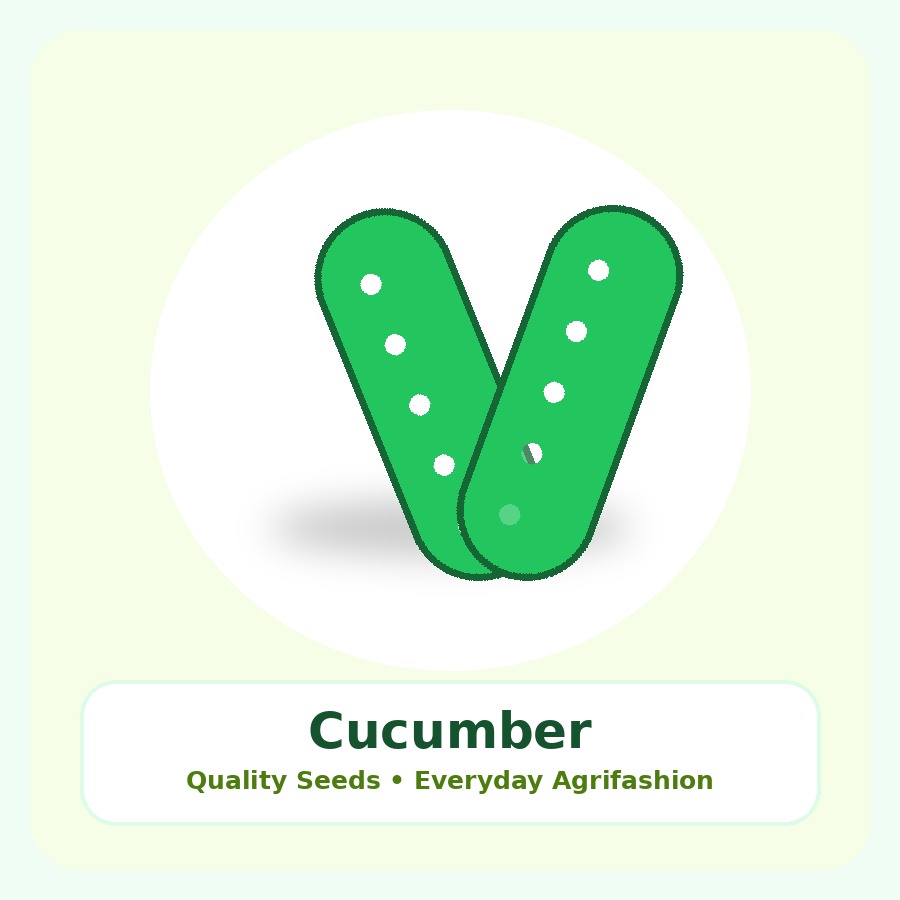Cucumber Seeds 1kg
