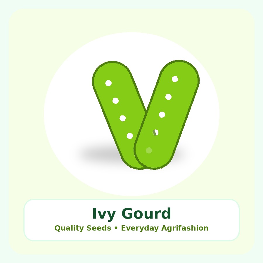 Ivy Gourd Seeds 500g