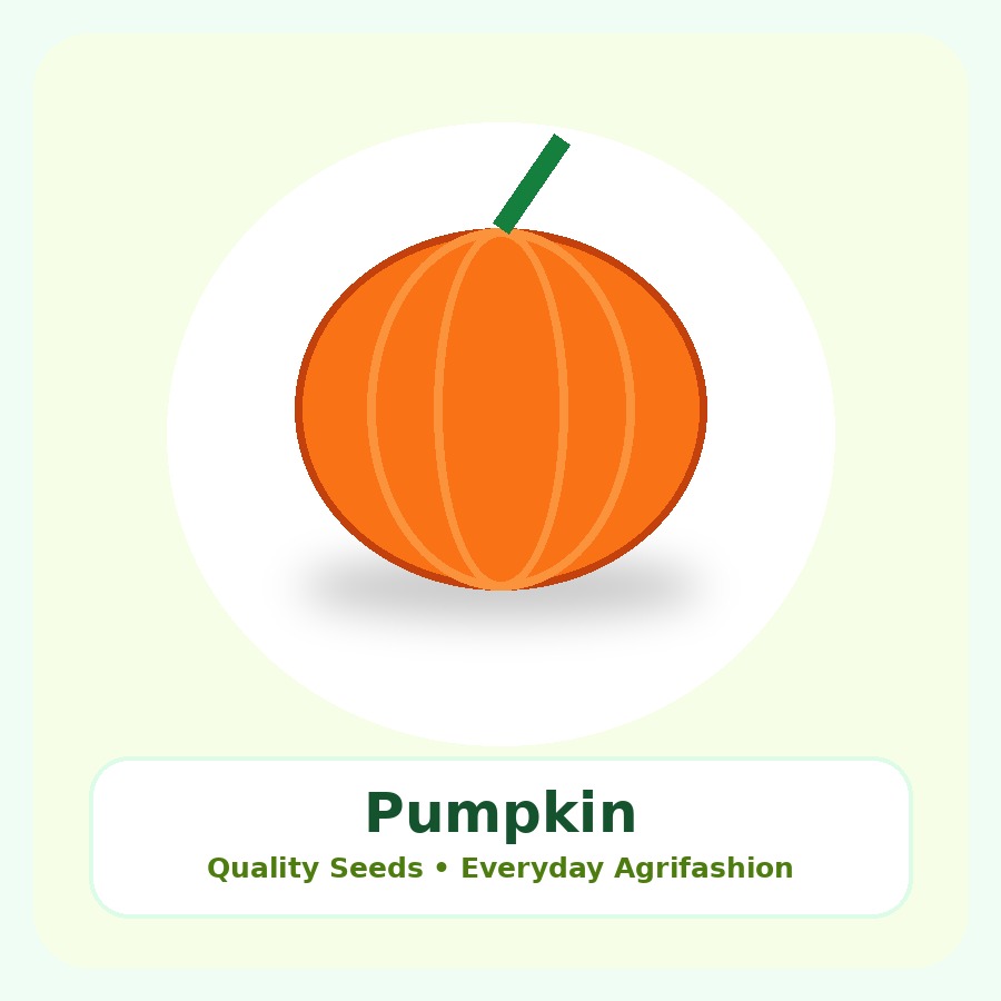 Pumpkin Seeds 250g