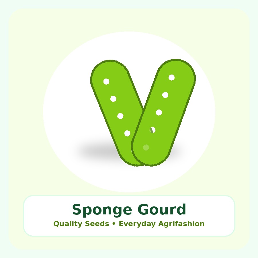 Sponge Gourd Seeds 500g
